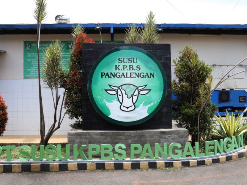 BELAJAR LANGSUNG DI ALAM (BLA)